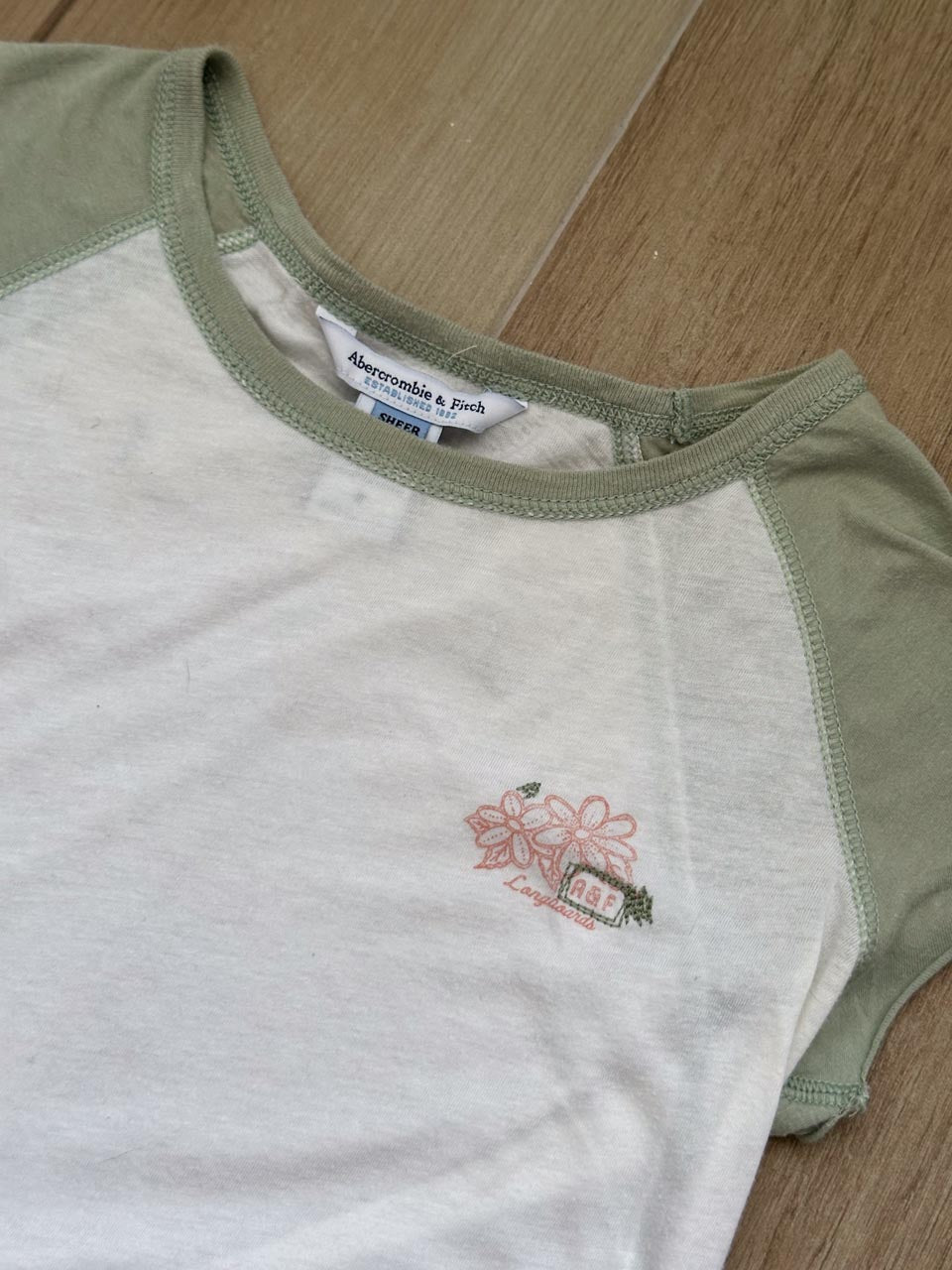 Vintage Y2K Abercrombie & Fitch Hibiscus Flower Graphic Baby Tee in Semi Sheer Fabric, Coconut Girl Top (S)